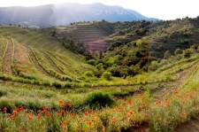 Priorat in mei